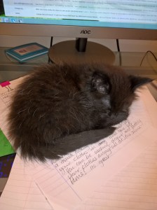 WP_20170316_20_21_39_Pro