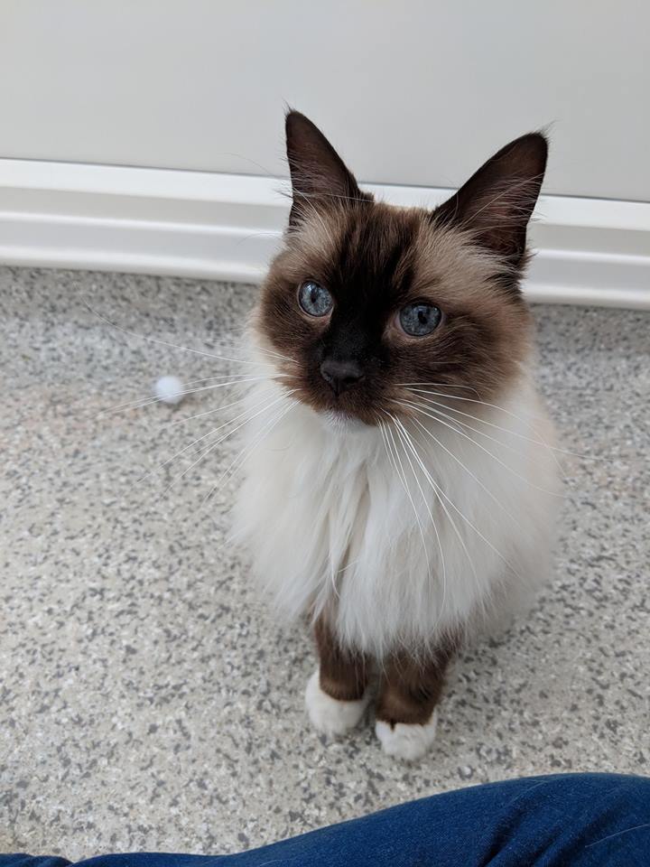 30724732_10213911971251167_7173240565760372536_n